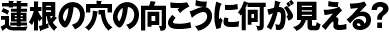 蓮根の穴の向こうに何が見える?