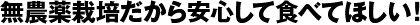 無農薬栽培だから安心して食べてほしい!