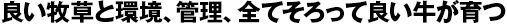 良い牧草と環境、管理、全てそろって良い牛が育つ